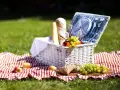 Jakie przekąski na piknik - łatwe i smaczne pomysły na jedzenie